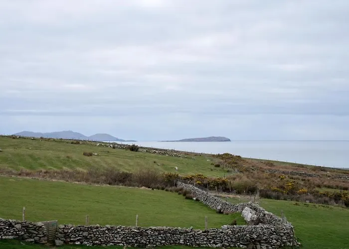 Devlin Farm Life * Westport