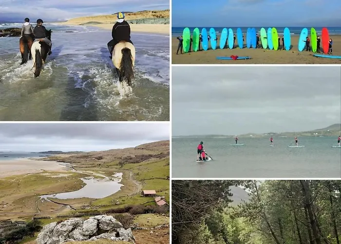 Devlin Farm Life Westport