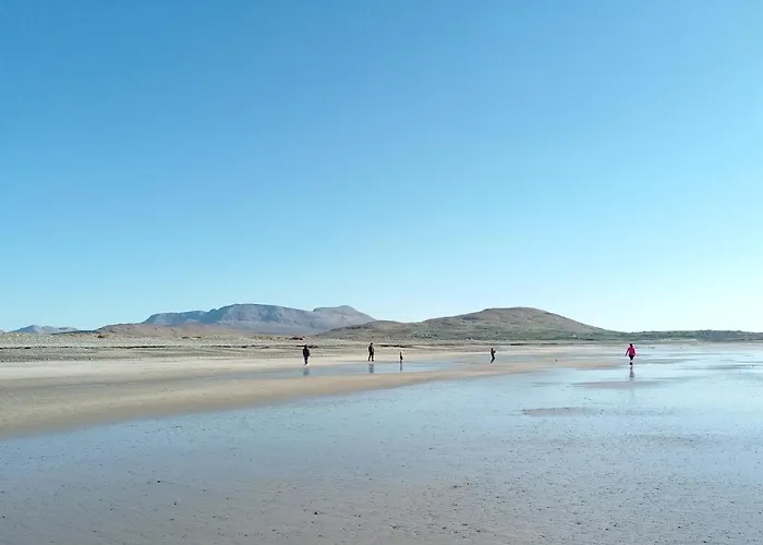 Devlin Farm Life * Westport