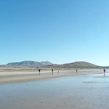 Devlin Farm Life * Westport